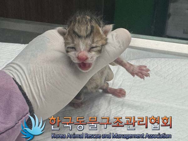 종료(자연사) 한국…